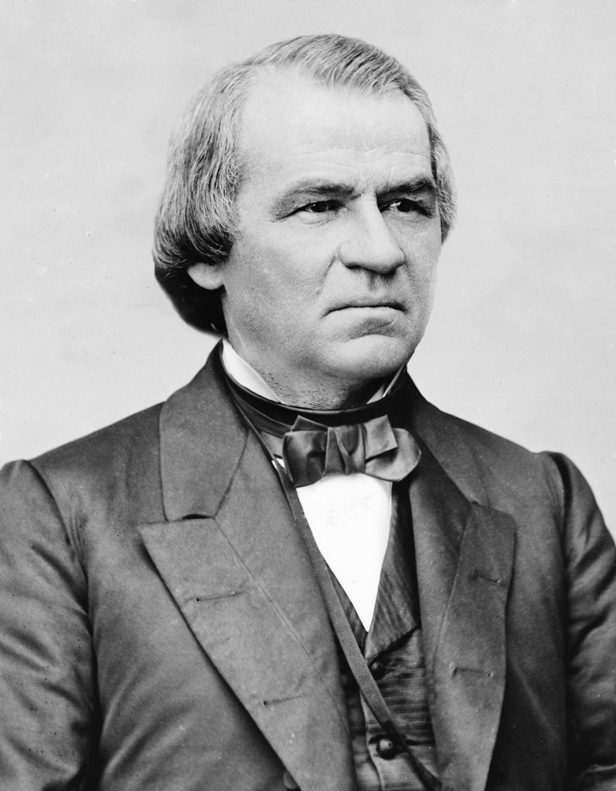 Andrew Johnson Birth Chart Aaps.space