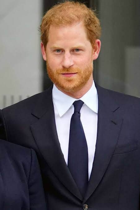 Prince Harry (Duke Of Sussex)