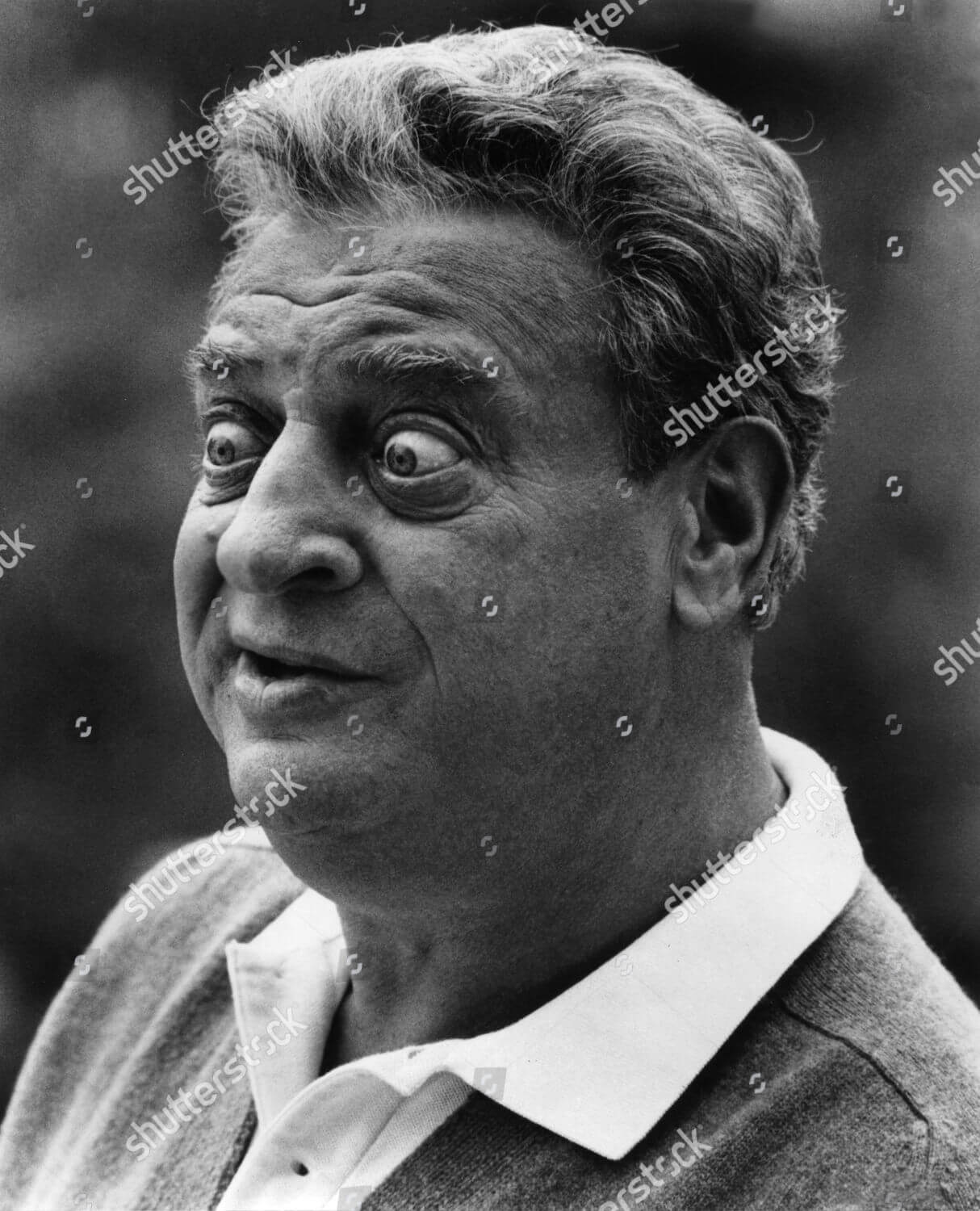 Rodney Dangerfield